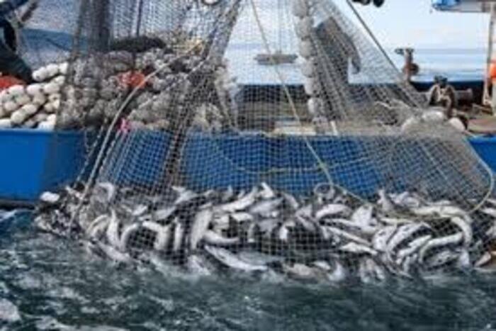 روسيا تفتح باب التقدم للحصول على حصص الصيد في المياه المغربية