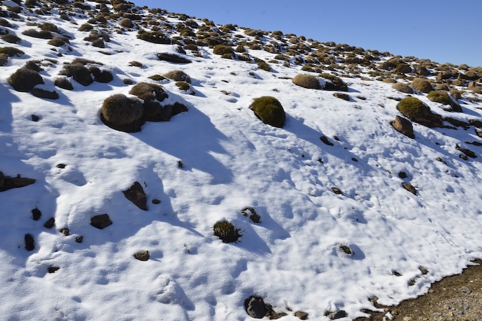 استمرار الطقس البارد بالعديد من مناطق المملكة