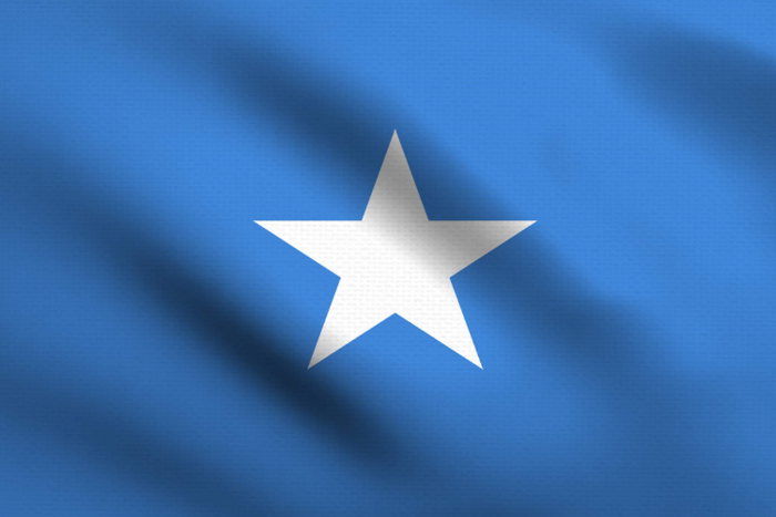 الصومال يلغي جميع الاتفاقيات الأمنية مع الإمارات