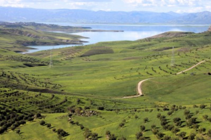 جهة فاس–مكناس تتوقع موسما فلاحيا واعدا بفضل الأمطار وتقنيات الزراعة المرنة