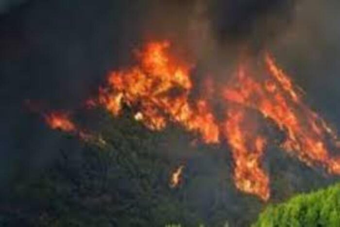 الشيلي تعلن حالة الكارثة بعد قضاء 18 شخصا في حرائق الغابات