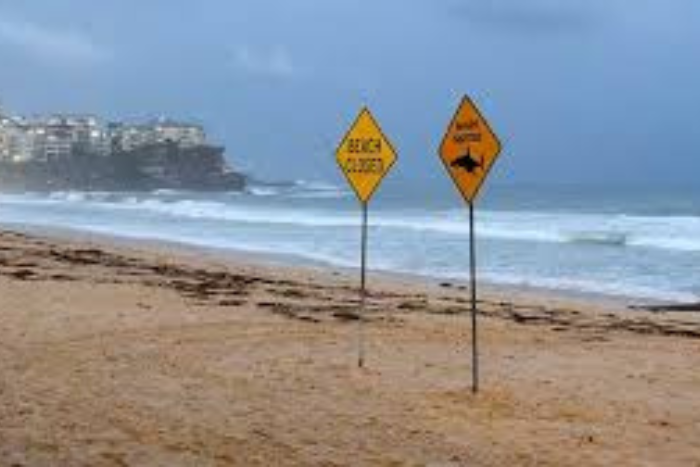 أستراليا تغلق شواطئ شمال سيدني بعد هجمات أسماك قرش ووقوع إصابات