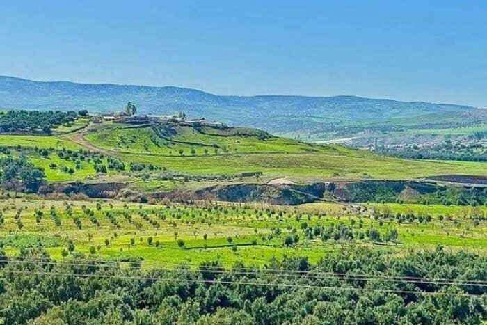 فلاحو تاونات يستبشرون خيرا في التساقطات المطرية خلال هذا الموسم الفلاحي