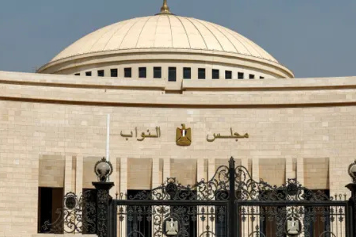 البرلمان المصري في الطريق لتشريع حول استخدام الأطفال لمواقع التواصل