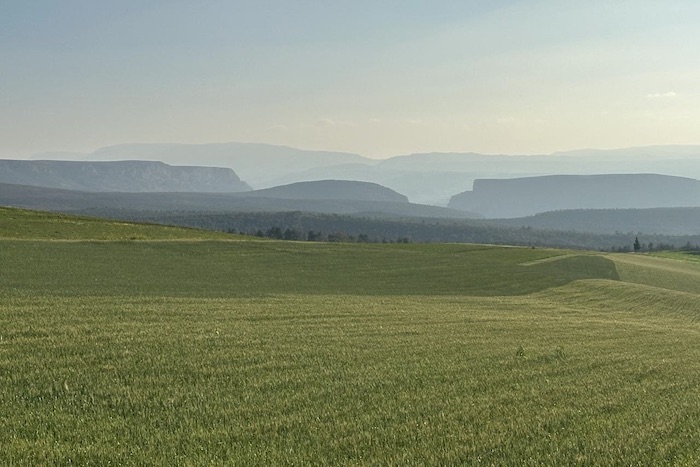 التساقطات المطرية  تبشر بموسم فلاحي واعد بإقليم الحوز