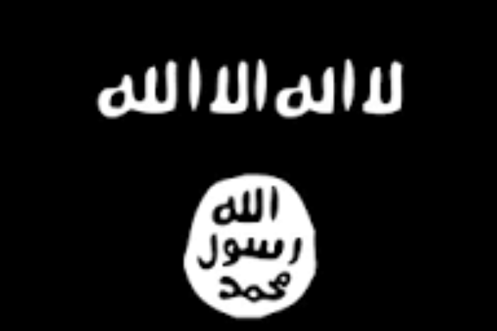 تصاعد نفوذ داعش في إفريقيا يعيد رسم خريطة التهديد الأمني