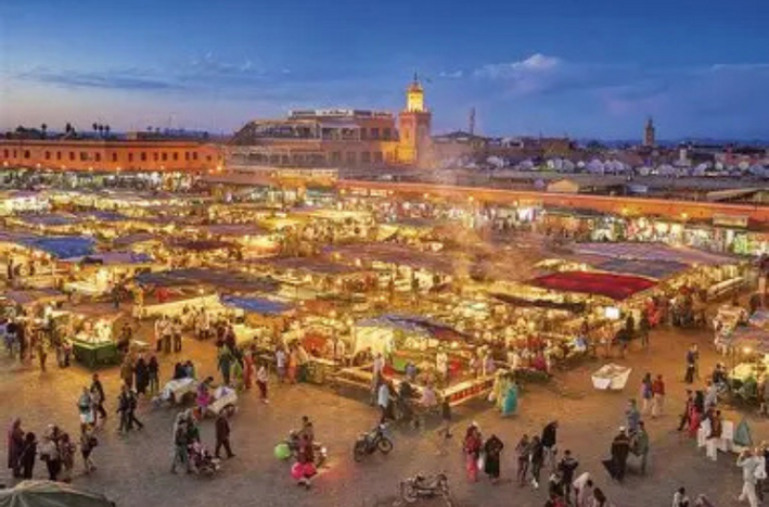 مراكش تحتضن الدورة الخامسة للقاء المغربي للهندسة الطبية الحيوية