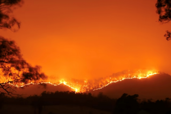 حالة الطوارئ بالأرجنتين لمواجهة حرائق الغابات