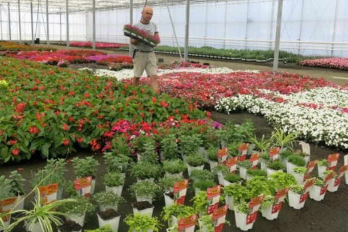 بالرغم من الجفاف.. شركة غرين فولتز المغرب تحافظ على استقرارها في عام 2025