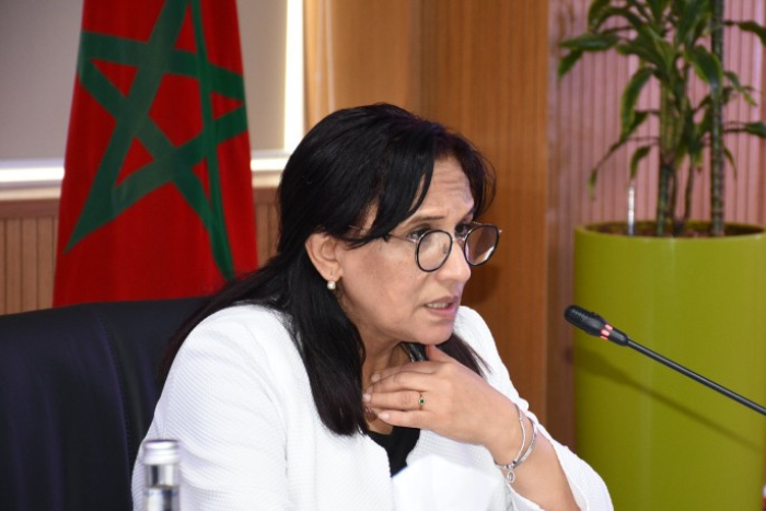 آمنة بوعياش تترأس اجتماع مجموعة العمل الإفريقية المعنية بالهجرة بحضور ممثلي 20 دولة