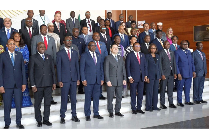 انتخاب المغرب لعضوية مجلس السلم والأمن الإفريقي اعتراف بدور الملك في ترسيخ الاستقرار بالقارة