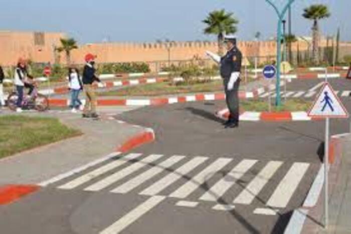 السلامة الطرقية تستدعي تعزيز البحث العلمي في المجال