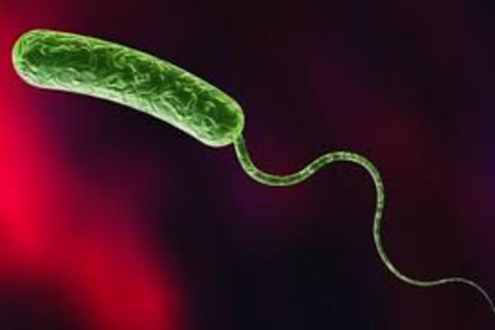 الكوليرا تضرب الموزنبيق