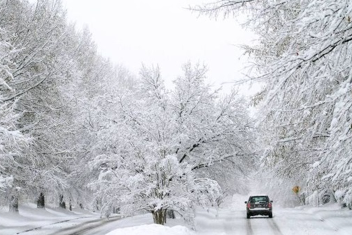 انقطاع الكهرباء عن 200 ألف منزل في رومانيا بسبب عاصفة ثلجية