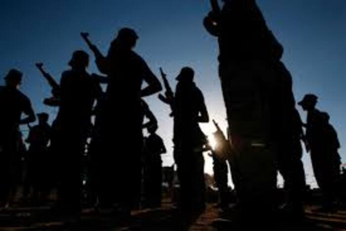 الجيش الباكستاني يقضي على مجموعة مسلحة