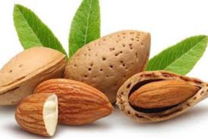 أطعمة رمضانية تدعم صحة القلب