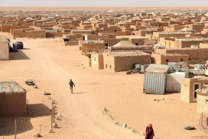 الدعوة إلى اتخاذ إجراءات ملموسة لتعزيز حماية حقوق الإنسان في مخيمات تندوف