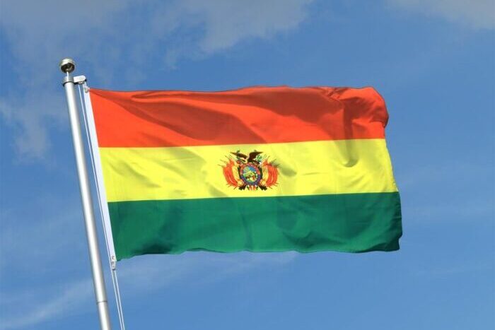 الحكومة البوليفية تنشر الجيش لحماية المنشآت النفطية