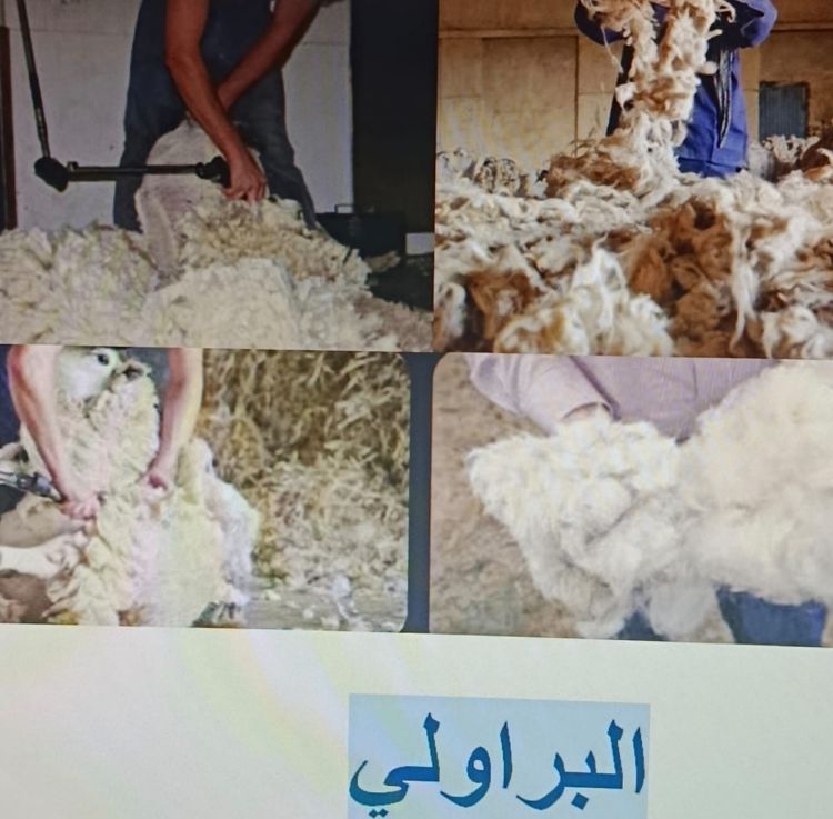 )فاس حرف ومهن محلية بين منقرضة ومنتظرة الانقراض   مهن وحرف الهضرة والكلام  (البراولي