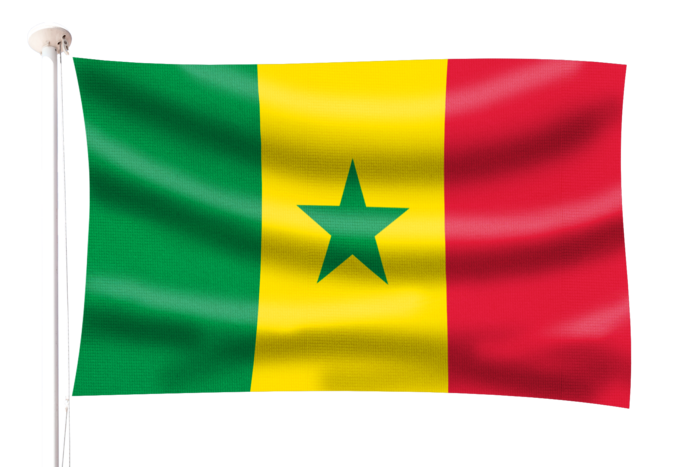 السنغال تستقبل 3800 من مواطنيها المرحلين من الخارج