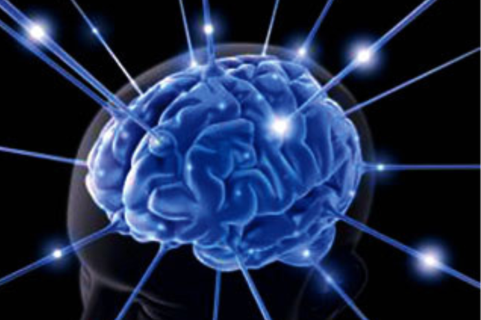 دراسة تكشف سرالمسنين الخارقين: تكوين عصبونات جديدة يحافظ على الذاكرة حتى سن 98