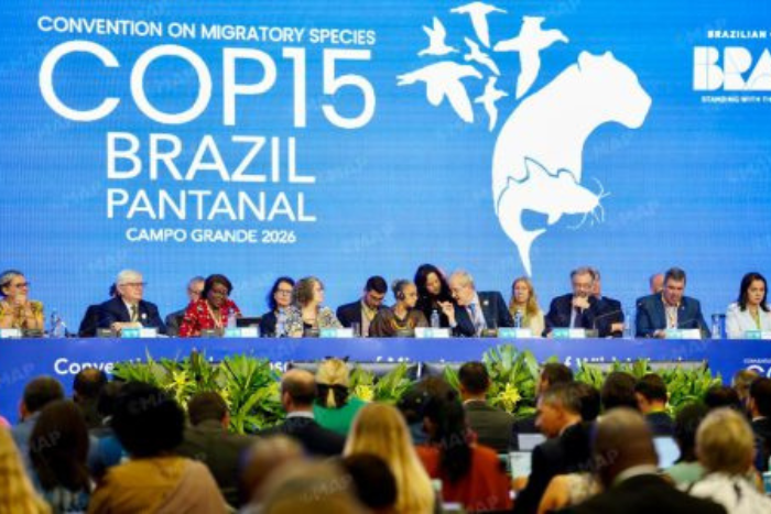 البرازيل تستضيف كوب 15 حول الأنواع المهاجرة بمشاركة المغرب