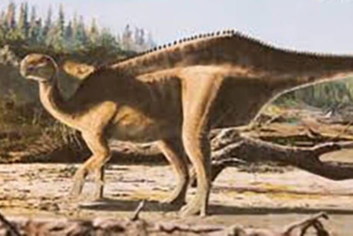 اكتشاف نوع جديد من سبينوصوروس في النيجر يكشف أسرار حياته قبل 95 مليون سنة