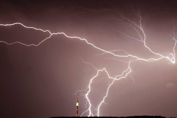 صاعقة برق تقتل 11 رأس ماشية في زامبيا وتخلف خسائر فادحة