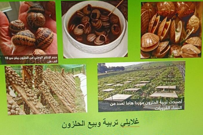 فاس حرف ومهن محلية بين منقرضة ومنتظرة الانقراض  مهن وحرف المأكولات  40– غلايلي