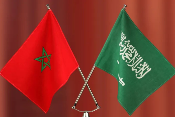 المغرب والسعودية يعززان التعاون في النقل واللوجستيك خلال منتدى دولي بسانت بطرسبورغ