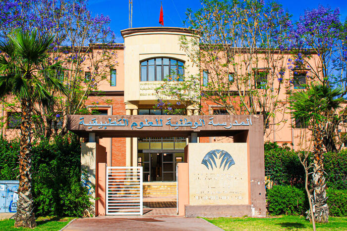 مؤتمر دولي بمراكش يقارب موضوع الانتقال نحو أنظمة طاقية مستدامة ورقمية