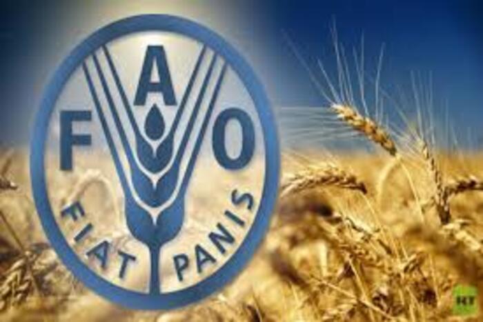 خبراء بنواكشوط يناقشون مستقبل الأمن الغذائي بإفريقيا في إطار المؤتمر الإقليمي للفاو