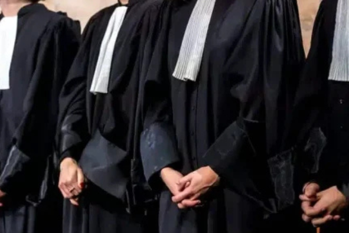 مشروع قانون المحاماة الجديد يعزز تنظيم المهنة ويواكب التحولات القانونية