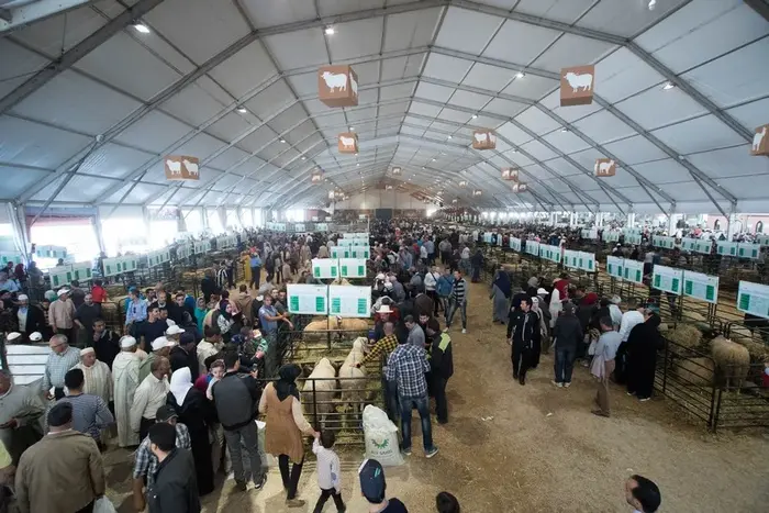 إبرازمؤهلات جهة الرباط-سلا- القنيطرة الفلاحية في الملتقى الدولي للفلاحة بمكناس