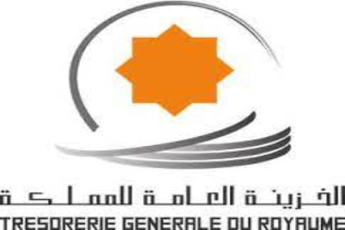 توظيف مالي من فائض الخزينة توظيف مالي من فائض الخزينة