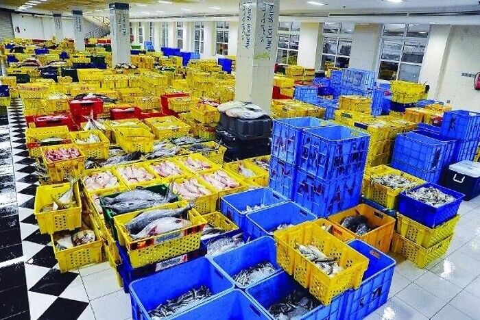   مواصلة التعاون بين المملكة والاتحاد الأوروبي في مجال الصيد البحري المستدام