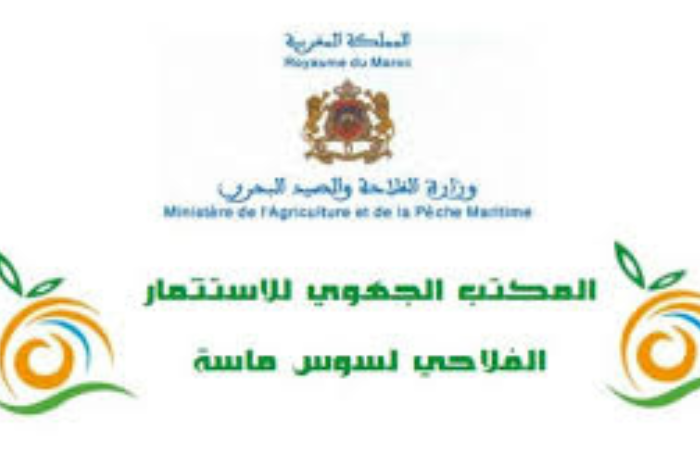 في اجتماع المجلس الإداري للمكتب الجهوي للاستثمار الفلاحي لسوس ماسة في اجتماع المجلس الإداري للمكتب الجهوي للاستثمار الفلاحي لسوس ماسة