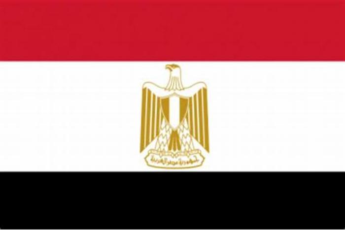 إشادة مصر بجهود بدء المفاوضات المباشرة بين روسيا وأوكرانيا