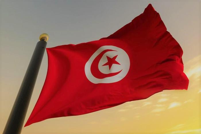 حاكمة المحامي والقاضي المعارض بتونس ، في دقائق  حاكمة المحامي والقاضي المعارض بتونس ، في دقائق