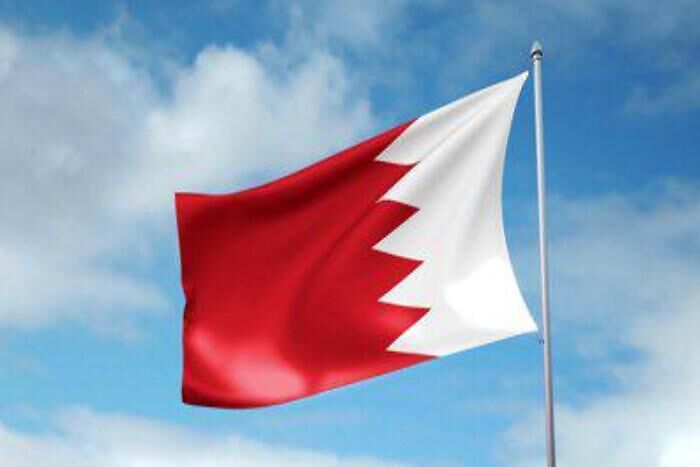 مملكة البحرين تنتخب عضوا غير دائم في مجلس الأمن مملكة البحرين تنتخب عضوا غير دائم في مجلس الأمن